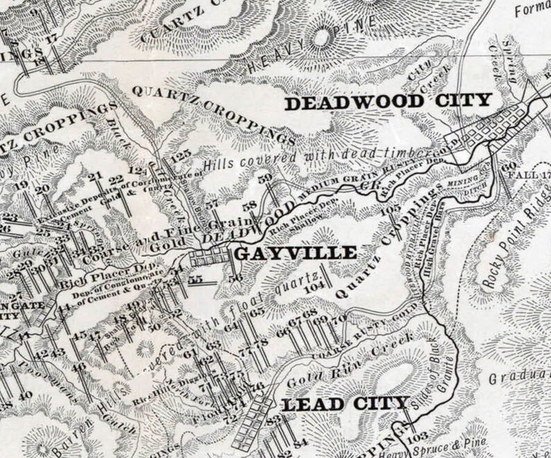 Map of Black Hills, SD Mining District Published in 1877 24x36 Print on