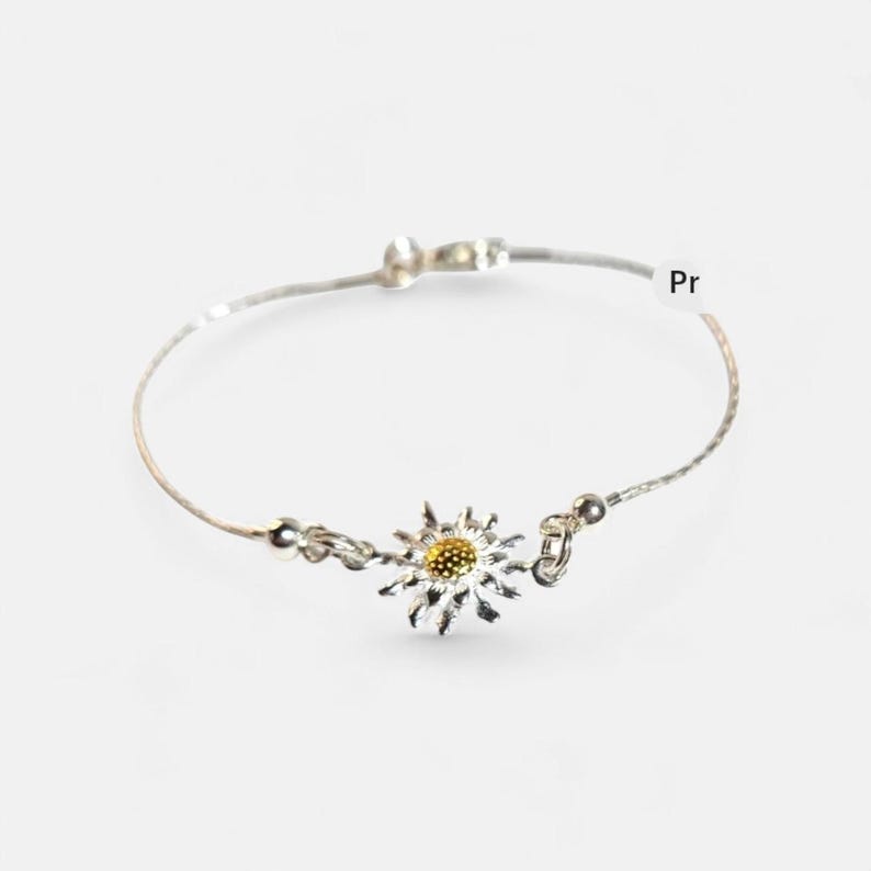 Pulsera Eguzkilore Plata bild 5