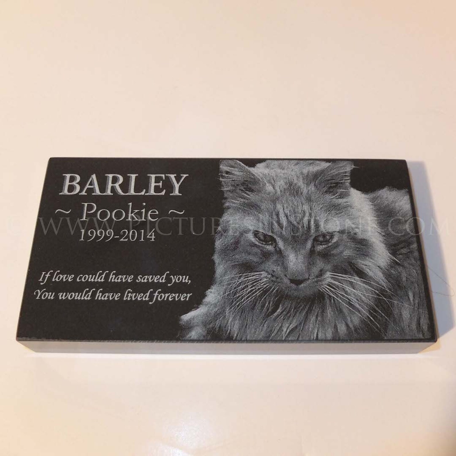 4 X 8 X 1 Cat Memorial Garden Stone Black Granite Etsy