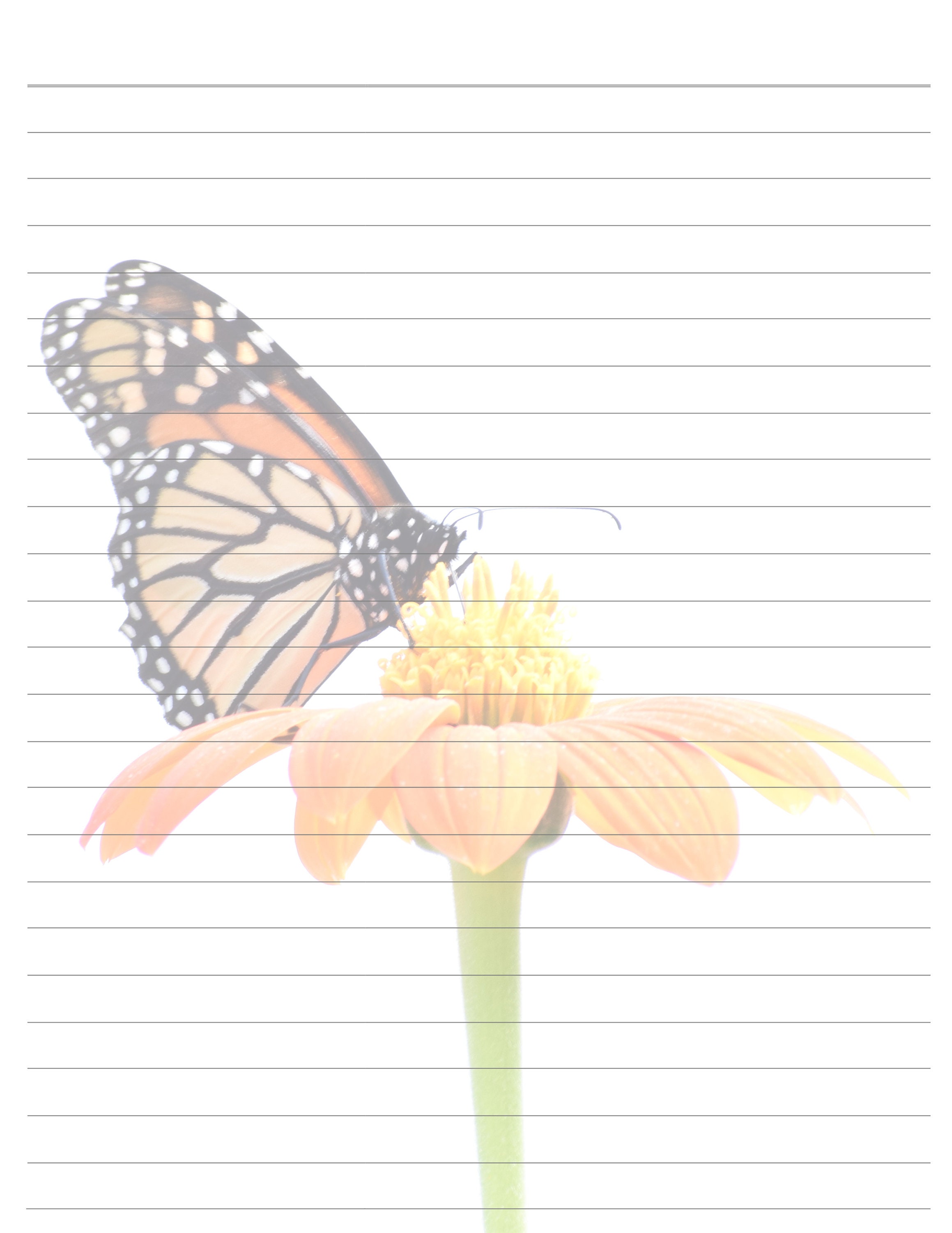 Downloadable Lined Paper Stationary Butterfly Monarch - Etsy