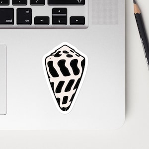 Pegatina de concha hawaiana con cono hebreo