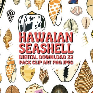 May include: A collection of various Hawaiian seashells in different shapes, sizes, and colors, including white, brown, orange, and yellow. The text "HAWAIIAN SEASHELL" is displayed in red, along with "DIGITAL DOWNLOAD 32 PACK CLIP ART PNG JPEG".