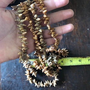 Tahiti Niihau shell lei/necklace