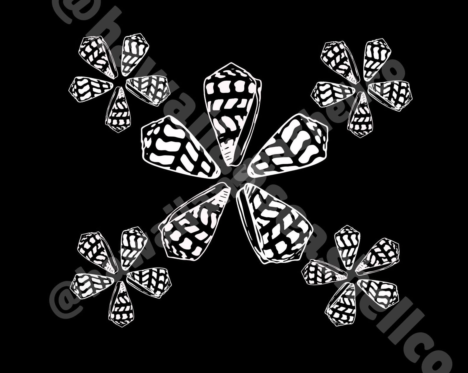 Hebrew Cone Shell Pattern SVG Bundle | Hawaiian Seashell Design ...