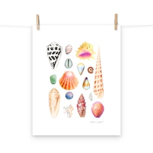 May include: A watercolor art print featuring a collection of various seashells, including a large black and white patterned cone shell, a pink scallop, and a tall spiral shell, with the text "Shell camp" written in small letters at the bottom.