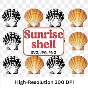 May include: A collection of scallop shell designs in black and white and orange-yellow hues. The image includes the text "Sunrise shell" in red, plus "SVG, JPG, PNG" and "High-Resolution 300 DPI". The shells are arranged in a grid pattern.