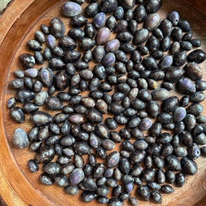 May include: A large collection of small, oval-shaped dark brown and black shells with speckled patterns and smooth, polished surfaces, featuring subtle purple and lavender highlights, arranged inside a round, light brown wooden bowl.