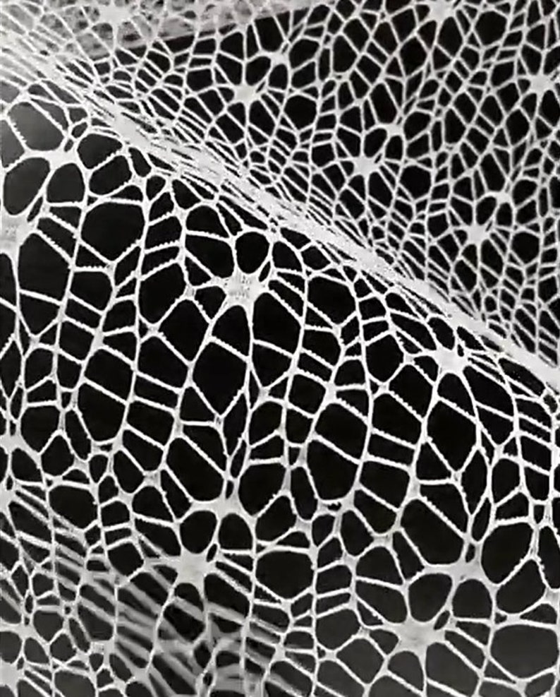 May include: White lace fabric with a delicate, intricate pattern resembling a spider web. The fabric is woven with a fine mesh and has a soft, flowing texture.