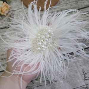 Peut inclure: Une barrette à cheveux en plumes blanches avec un ornement de perles. La barrette est tenue dans une main.