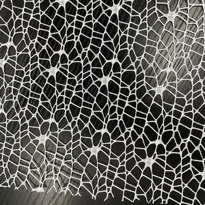 May include: White lace fabric with a delicate, intricate pattern resembling a spider web. The lace is against a dark background.