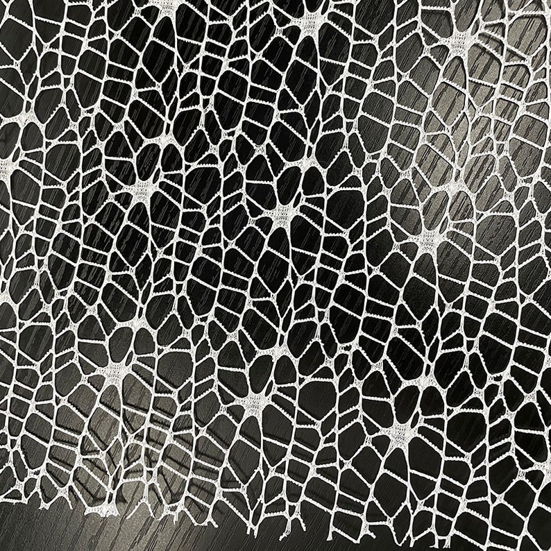May include: White lace fabric with a delicate, intricate pattern resembling a spider web. The lace is against a dark background.