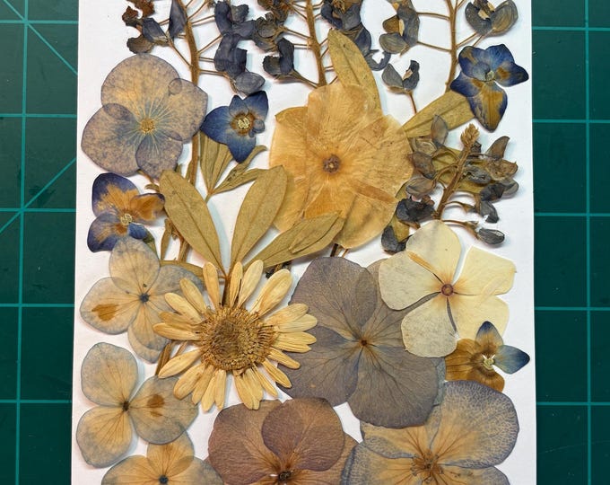 Pressed Flowers NOT EDIBLE but Lovely for Crafting. the Pack You See is ...