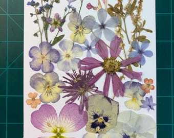 30+ edible, pastel mixed pressed flowers for cake decor or crafting #3675