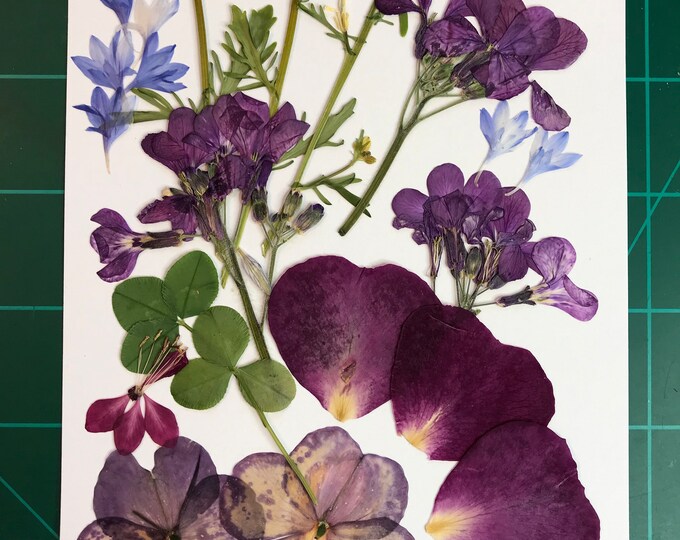 24 Edible Pressed Flowers. Use This Pretty Mix for Cake or Cookie Decor