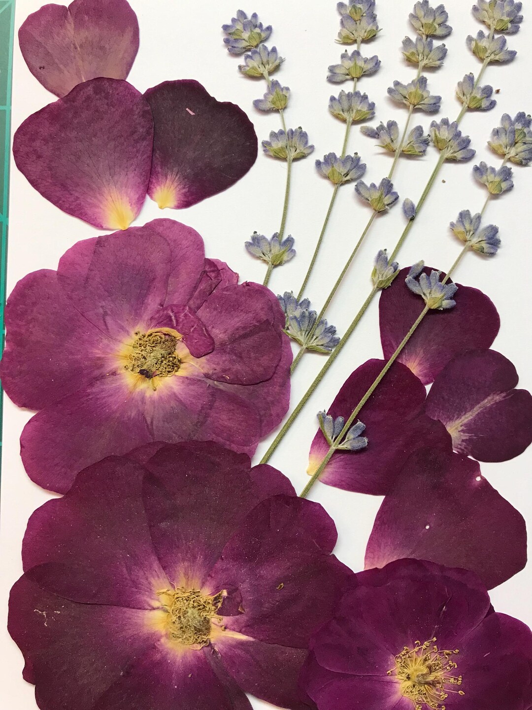 Edible Roses and Lavender Pressed Flower Combo for Cake Decorating and ...