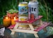 Beer Holder or Condiment Rack, A Mini Picnic Table 3D Kit. Useful Centerpiece And Hysterical Coaster For Your Summer Drink! 