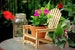 Adirondack Chair. Outdoor Planter, Drink Holder, Beach Buddy, Table Centerpiece, Party Decorations, etc. DIY wood kit you snap together. 