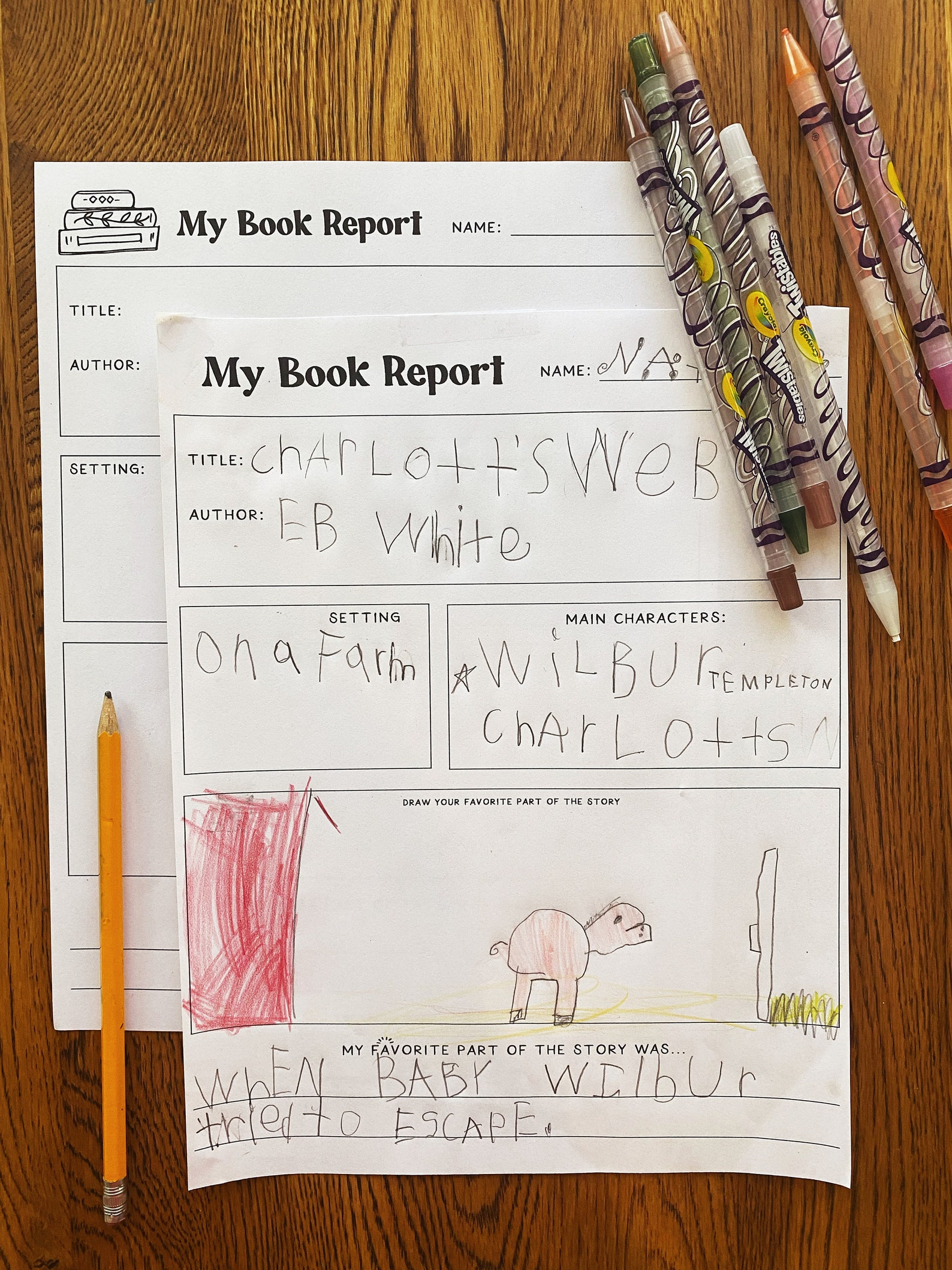 Kid's Book Report - Etsy