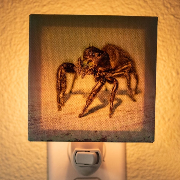 Jumping Spider Plug In Night Light, Wall Art Canvas Print, Unique Spider Lover Gift, Bathroom Decor, Fine Art Photography