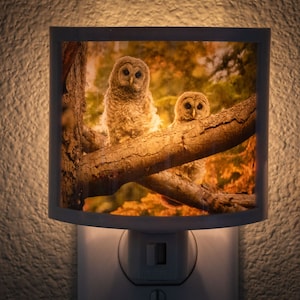 Baby Owls Plug in Wall Night Light for Kids, Unique Mothers Day Gift, Birthday Gift For Her, Owl Prints Wall Art Decor, Gift for Bird Lovers