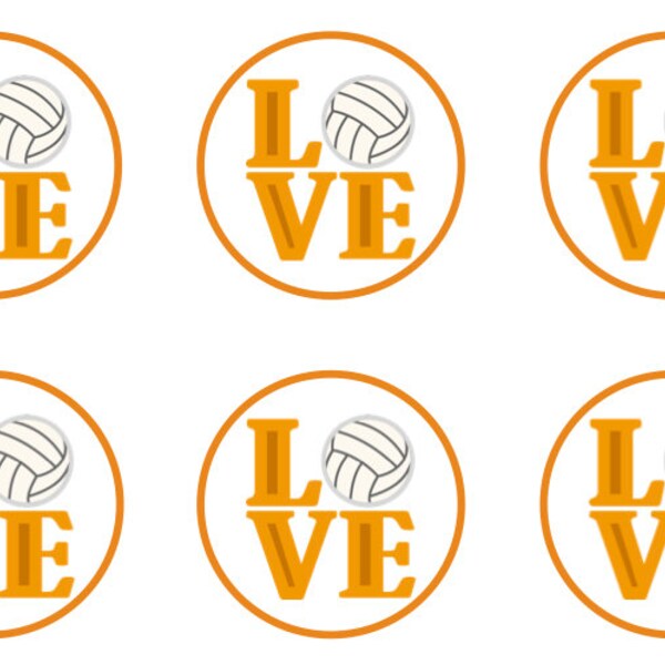 Volleyball Cupcakes Etsy