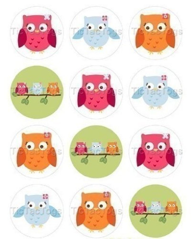 Owls Edible Cupcake Topper Decorations Set of 12 Toppers Etsy
