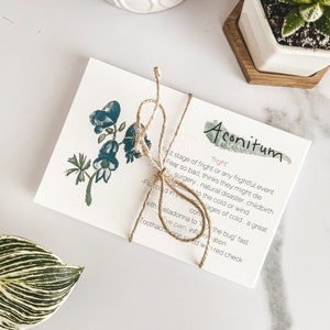 May include: A watercolor illustration of a blue flower with green leaves on a white card. The card is tied with twine and has the text "Aconitum 'fright' First stage of fright or any frightful event Fear so bad, thinks they might die surgery, natural disaster, childbirth -Flux cod in the eadtages of cold, a great pose to the cold or wind com with elladonna to the bug' fast Eye pain, inflanation Toothacheene sided wh red check"