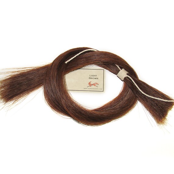 Horsehair Light Brown Tail Hair For Art Projects 30 Etsy