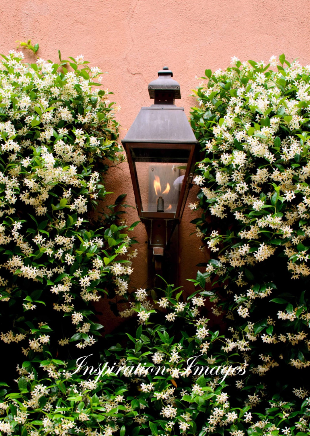 Charleston 2024 gas lanterns