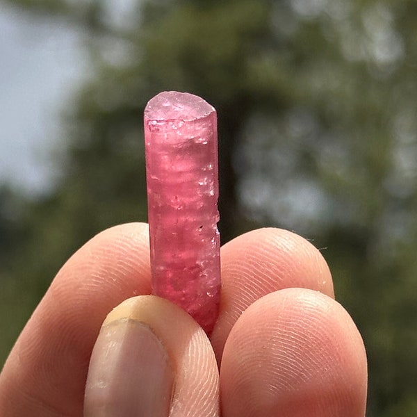 Pink rubellite tourmaline Paprok mine