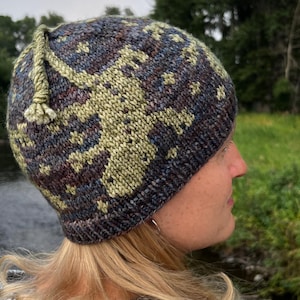 Gecko Hat Knitting Pattern, Stranded Knitting, Womans knit hat pattern, Mens knit hat pattern, Kids, gecko, malabrigo yarn