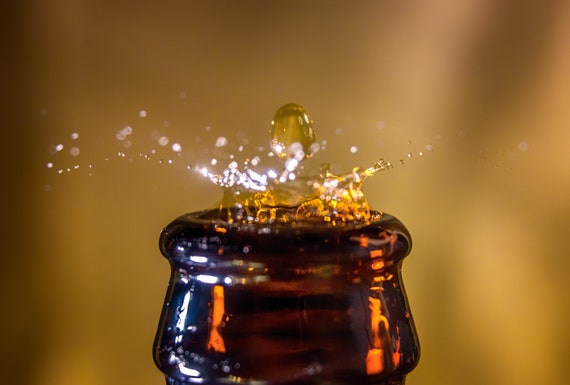 Every Last Drop (Metal Panel) Beer dripping into a beer bottle