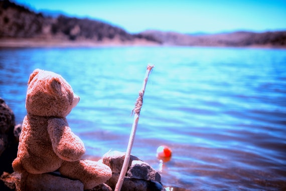 Have you ever seen a bear fishing (CANVAS) just a teddy bear fishing at the lake