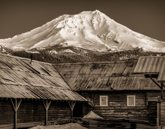 Aged in Sepia