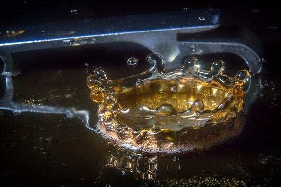 King of Beer (Metal Panel) Beer dripping into a beer bottle cap