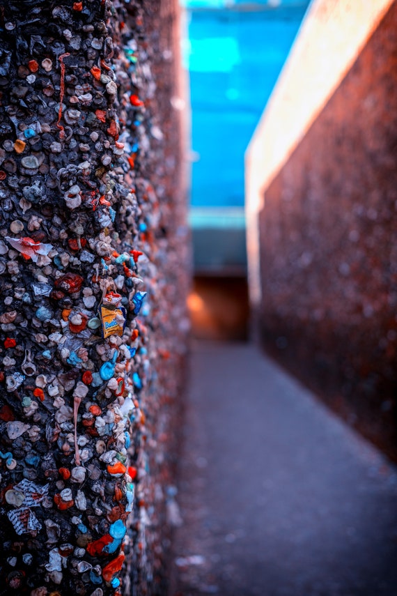 Do you dare enter (Metal Panel) Bubblegum Alley San Luis Obispo California