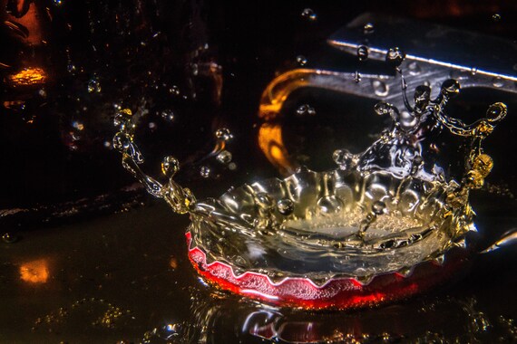 Splish Splash (Metal Panel) Beer dripping into a beer bottle cap