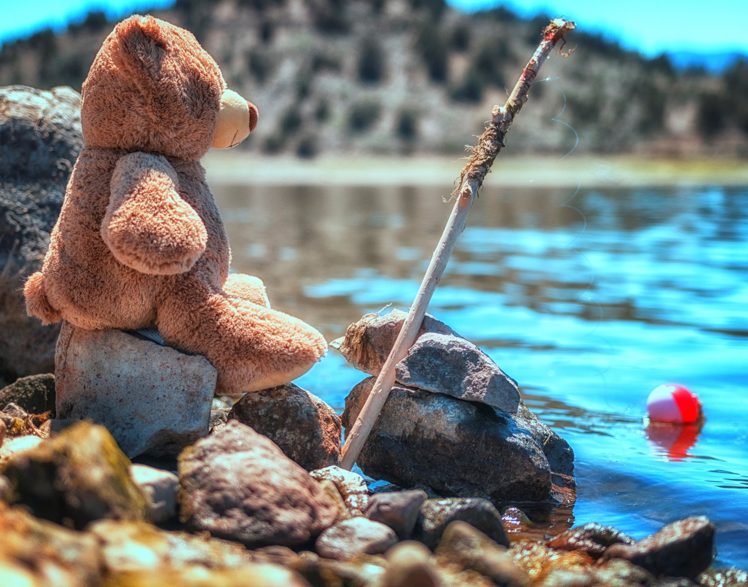 fishing teddy bear