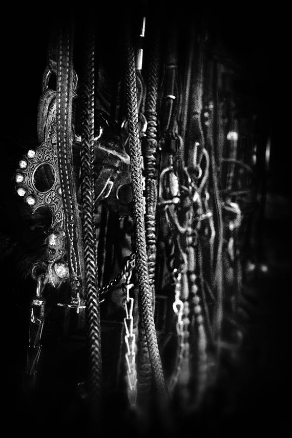 Tack on the Wall (Metal Panel) bits bridles reins on the wall of a tack room