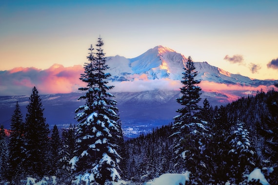 A Glimpse (CANVAS) Mount Shasta and Mt. Shasta City in Northern California snow covered trees