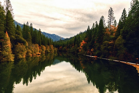 The Pit River (Metal Panel) the Pit River in the Fall Northern California