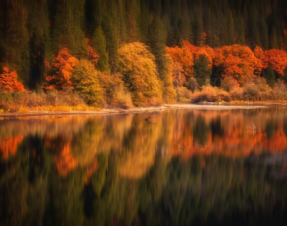 Natures Mirror (prints) Pit Four Reservoir along the Pit River in the Fall