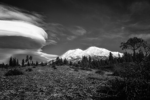 A Wonderful World We Live In (Metal Panel) Mount Shasta and a Lenticular Cloud in black and white