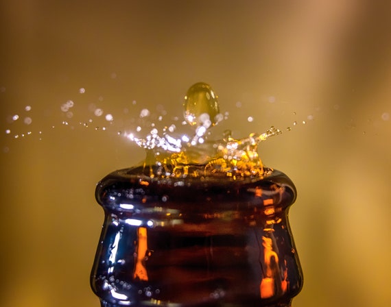Every Last Drop (Prints) Beer dripping into a beer bottle photograph