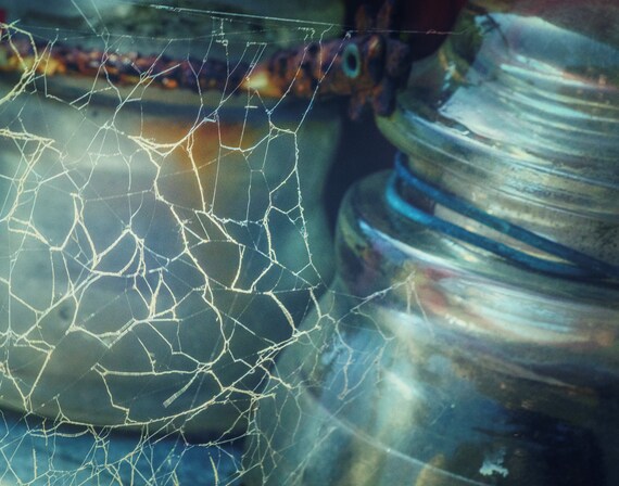 Insulators in a web (Prints) old glass insulators photograph with spider web