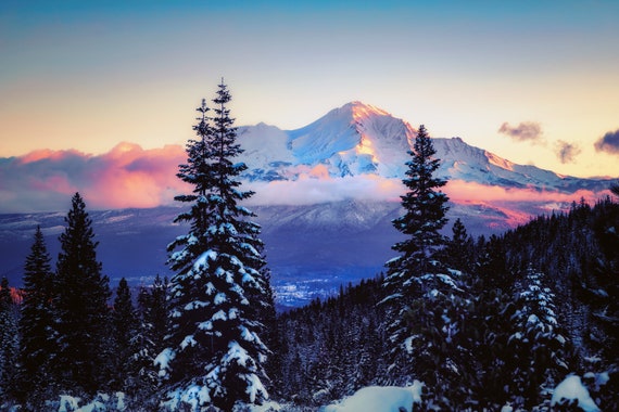 A Glimpse (Metal Panel) Mount Shasta and Mt. Shasta City through the snow on the trees