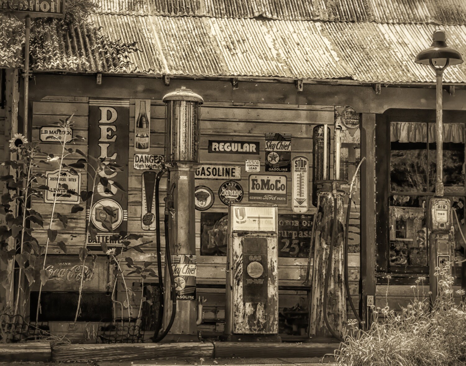 gallery photo