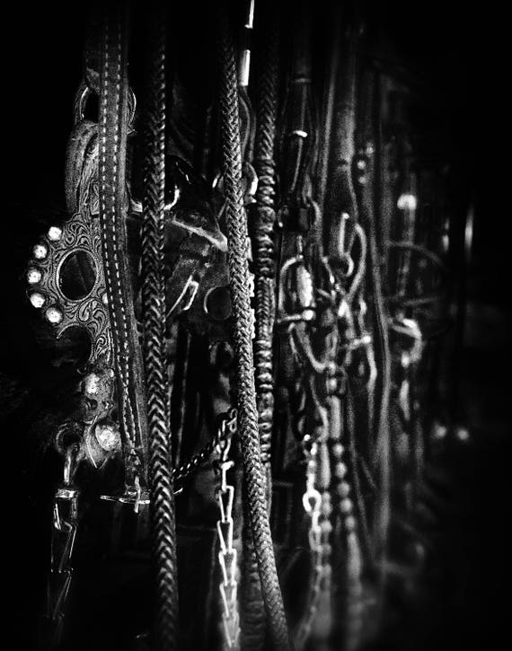 Tack on the Wall (Prints) black and white photograph horse tack bits bridles reins
