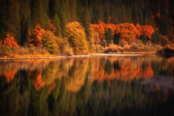 Natures Mirror (Metal Panel) Pit 4 Reservoir along the Pit River in the Fall