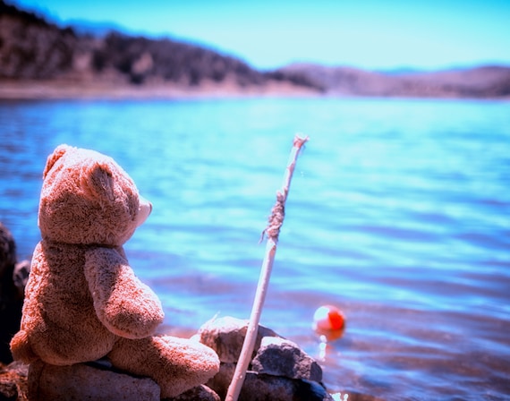 Have you ever seen a bear fishing (prints) a teddy bear fishing with his pole and bobber
